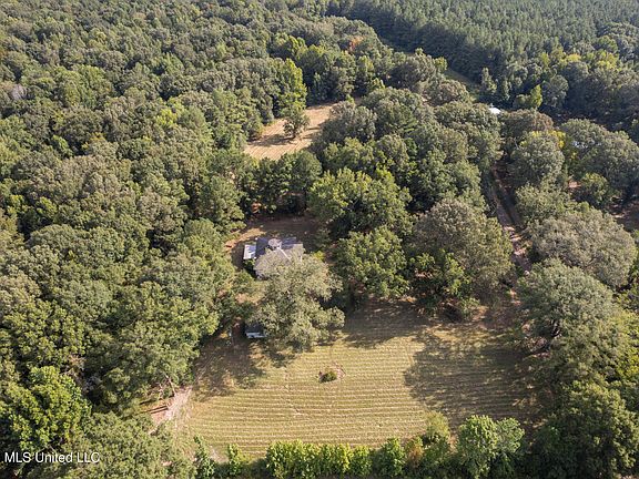 4th image of 1194 Tom Kyzar Rd