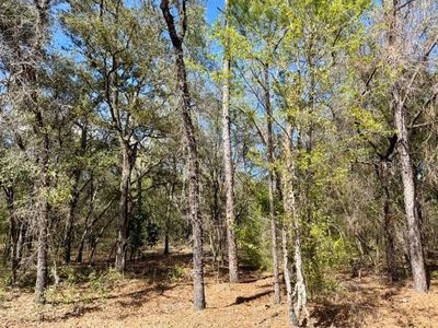 TBA SE 66TH PLACE, Morriston, FL, 32668
