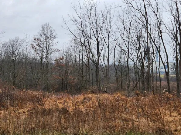 120 Bates Gates Road, New Hampton, NY 10958