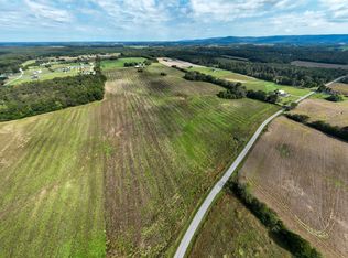 1 Clarence Finney Rd LOT 4, Hillsboro, TN 37342