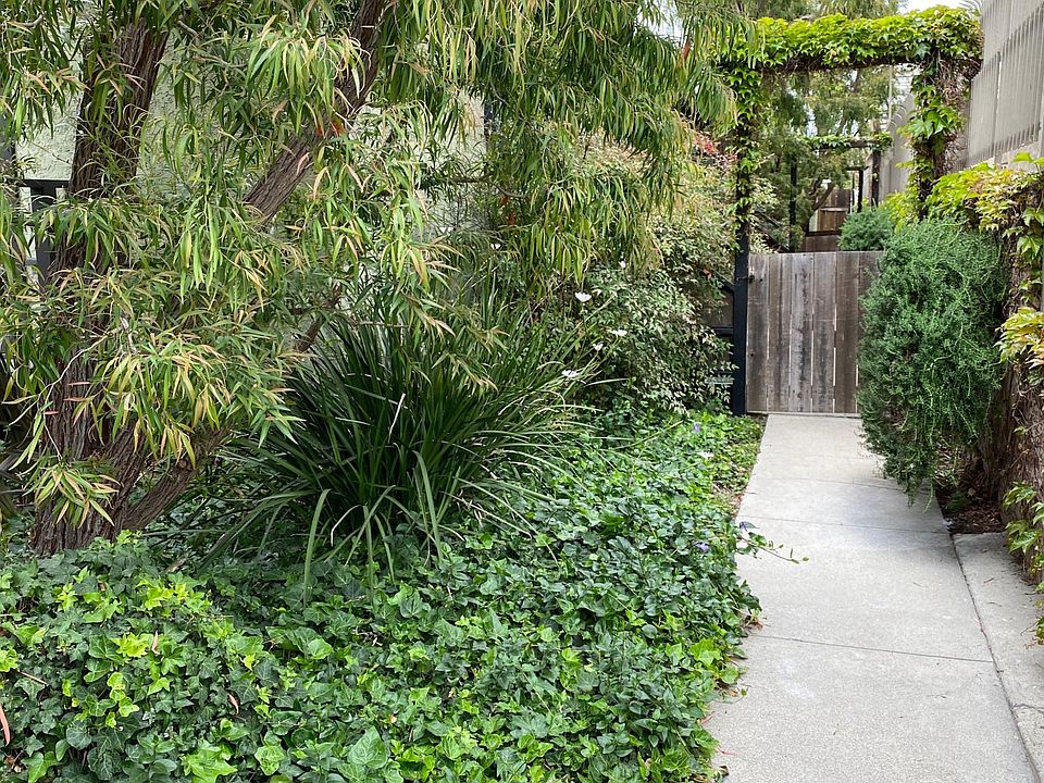 1st image of 671 Santa Clara Ave #3