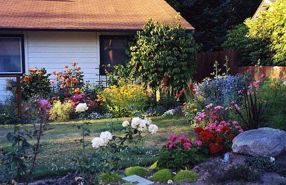 Summer garden front of house