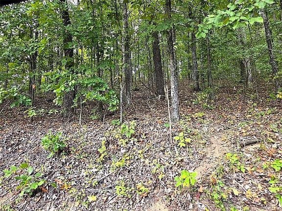 4th image of 0 Big Oak Tree Rd #3.54