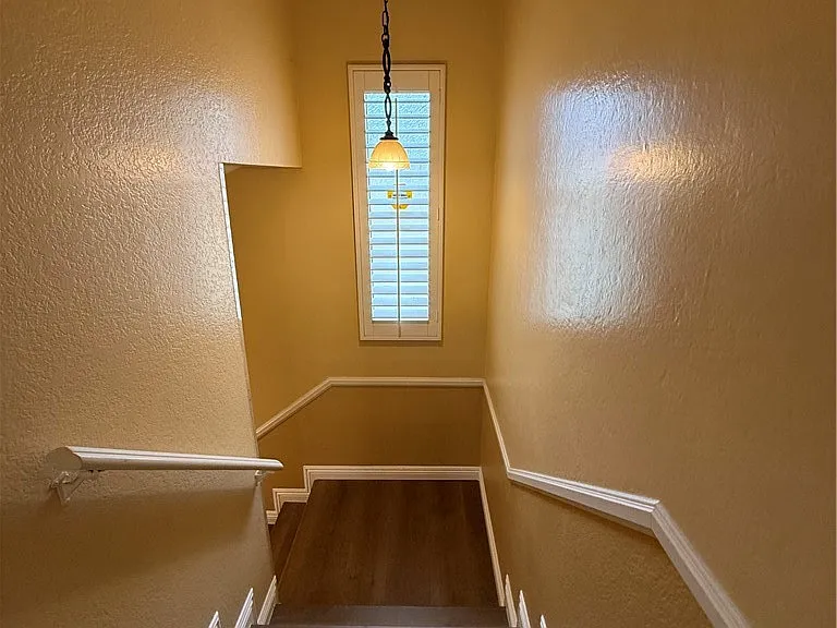 2226 Calle Leon — Photo 5