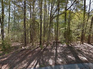 11176 Water Trace Dr, Fort Mill, SC 29708