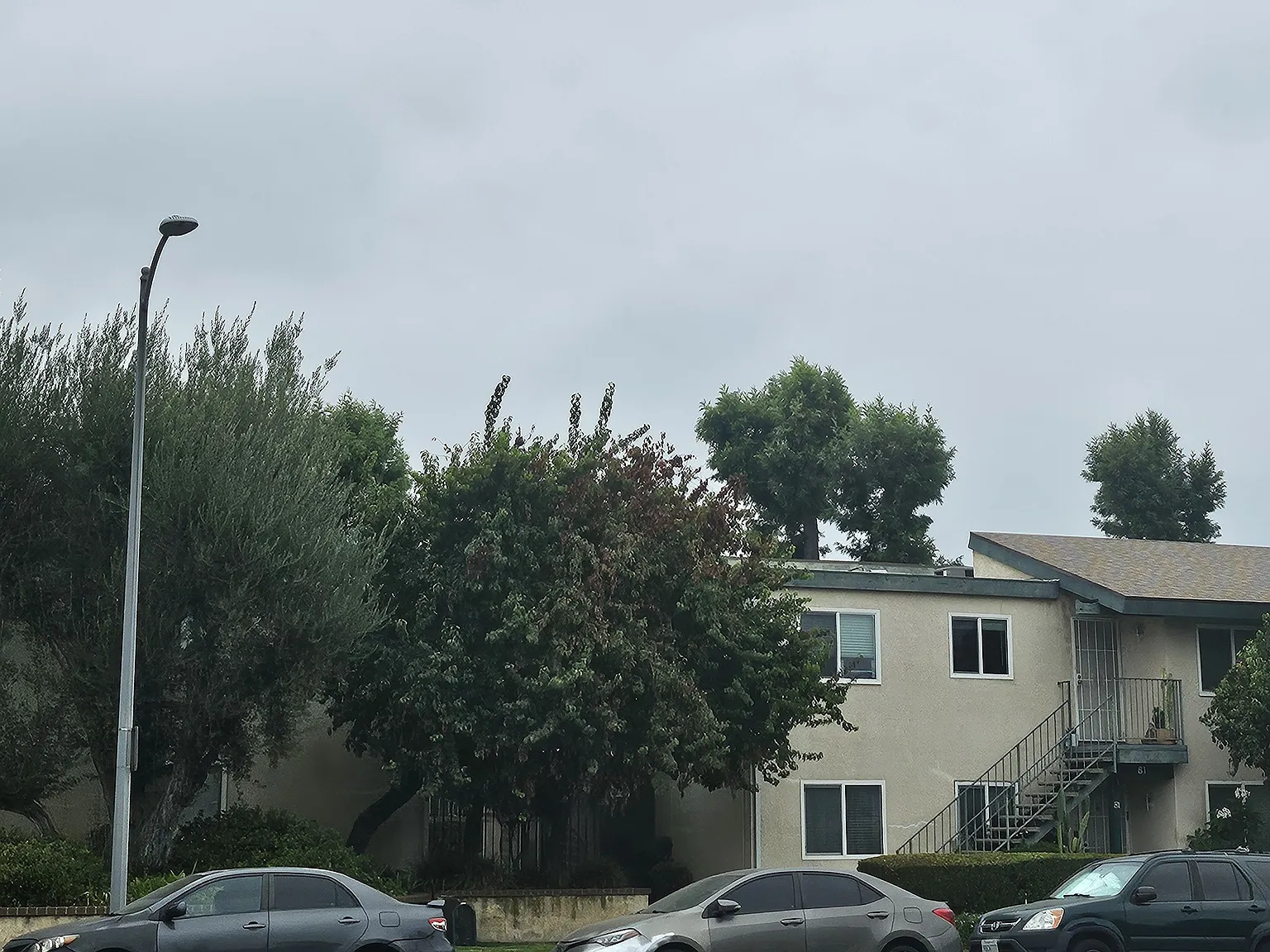3 bed, 1071 sqft, $3,100 — Photo 2