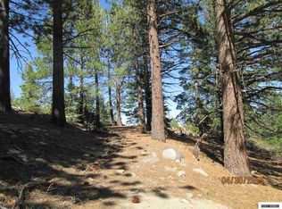 1165 Sky Tavern Rd, Reno, NV 89511