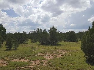 626 E Running Bear Rd, Williams, AZ 86046