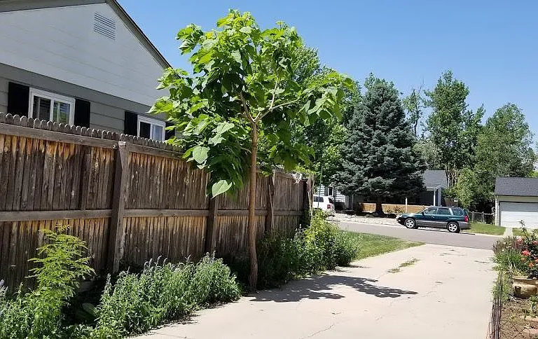 3412 S Elm St — Photo 15