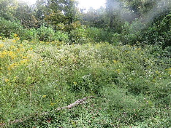 2nd image of 0 Watauga Rd