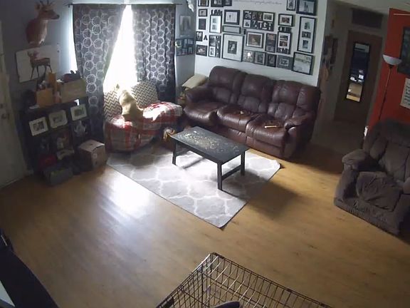 4th image of 4519 McIntosh Ln