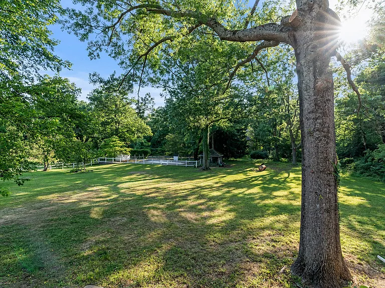 341 Crum Creek Ln — Photo 29