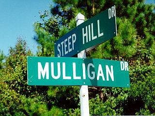2nd image of 211 MULLIGAN LOT 6