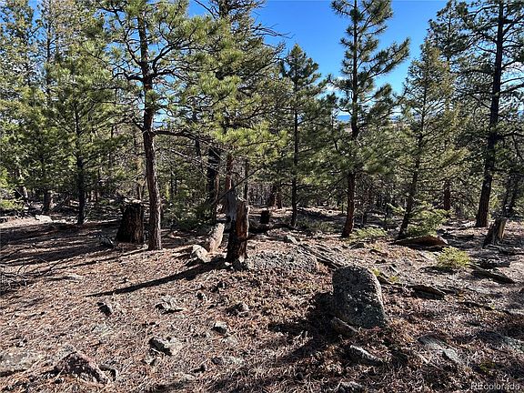 5th image of 1581 Bellows Road LOT 1464