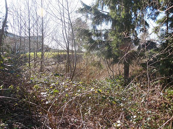 5th image of Scenic View Drive