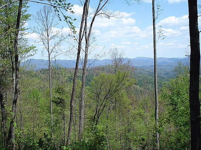 Mountain view from the lot