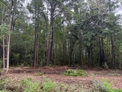0 Society Rd, McClellanville, SC, 29458