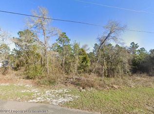 12269 Purple Galinule Ave, Weeki Wachee, FL 34614