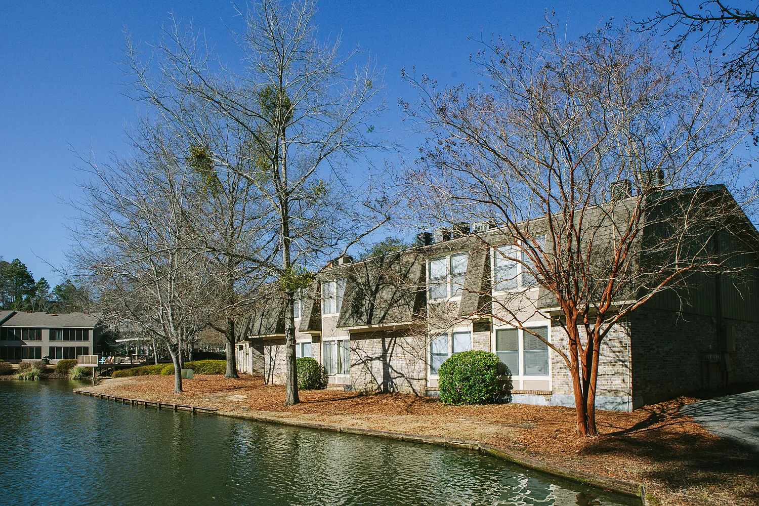 Club Hill Apartments — Photo 1