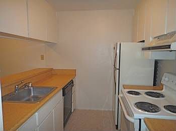 3rd image of 4307 Shelter Creek Ln