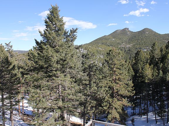 view from upstairs bedroom