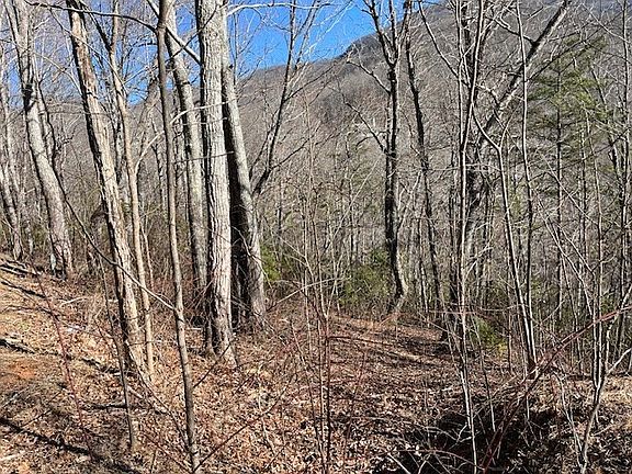 3rd image of LOT 10 Mountain Valley Vw