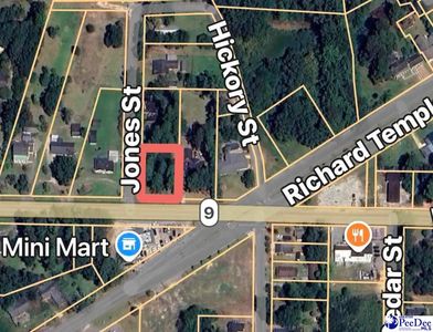 Corner Of Highway & Hickory St #9, Lake View, SC, 29563