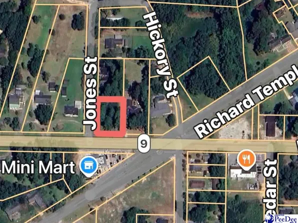 Corner Of Highway & Hickory St #9, Lake View, SC 29563