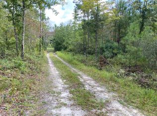 0 Great Swamp Rd, Walterboro, SC 29488