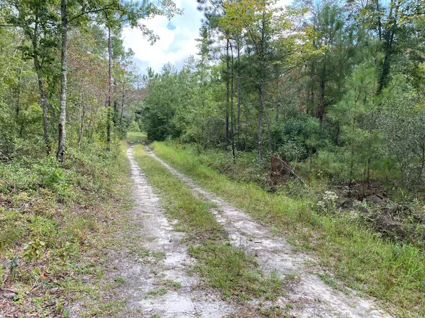 0 Great Swamp Rd, Walterboro, SC 29488