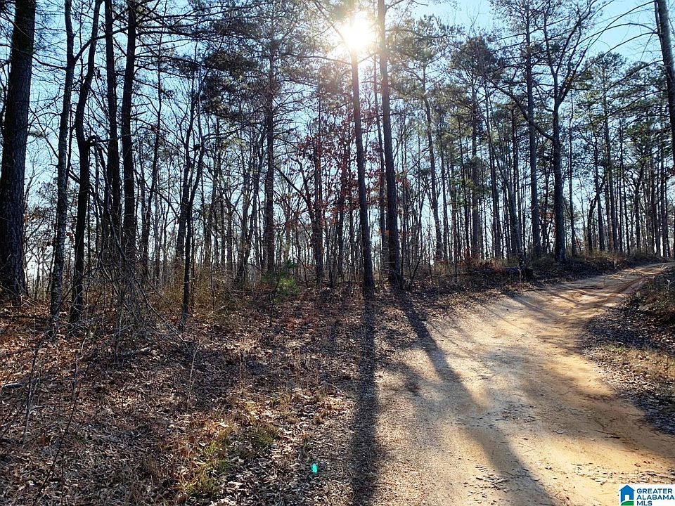 County Road 214, Fruithurst, AL 36262 Zillow