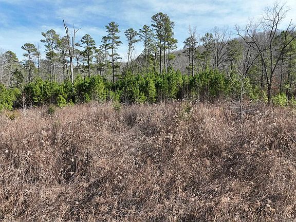 4th image of TRACT 10 Grassy Ln