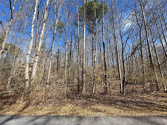 2nd image of LOT 411 Birch Ct