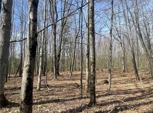 0 Scipio Rd, Nunda, NY 14517