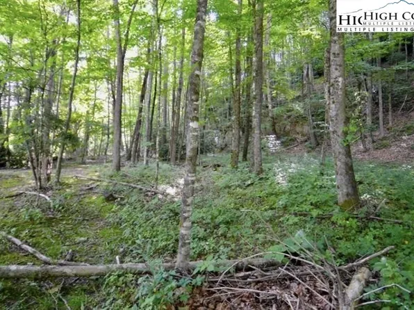 1000 TBD Berry Lane, Banner Elk, NC 28604