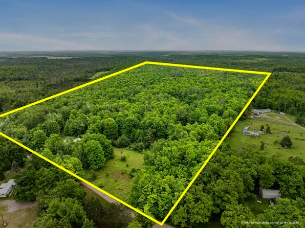 9782 Walter Rd, Onaway, MI 49765