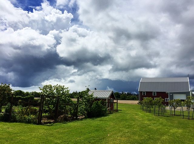 FSBO 360.221.1947 No agents 