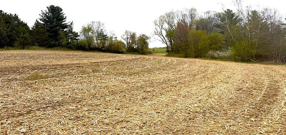 1st image of 74 acres Sand Prairie Rd.