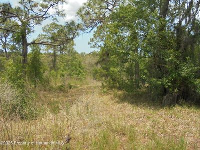 0 Bosley Dr, Spring Hill, FL, 34610