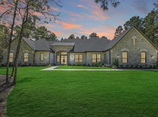 25123 Chisos Bnd, Montgomery, TX 77316