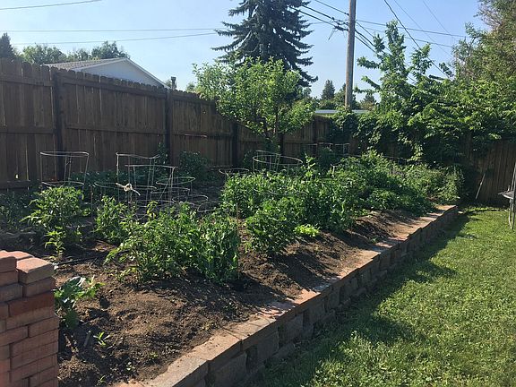 Two-tiered established organic garden (over 100 plants)