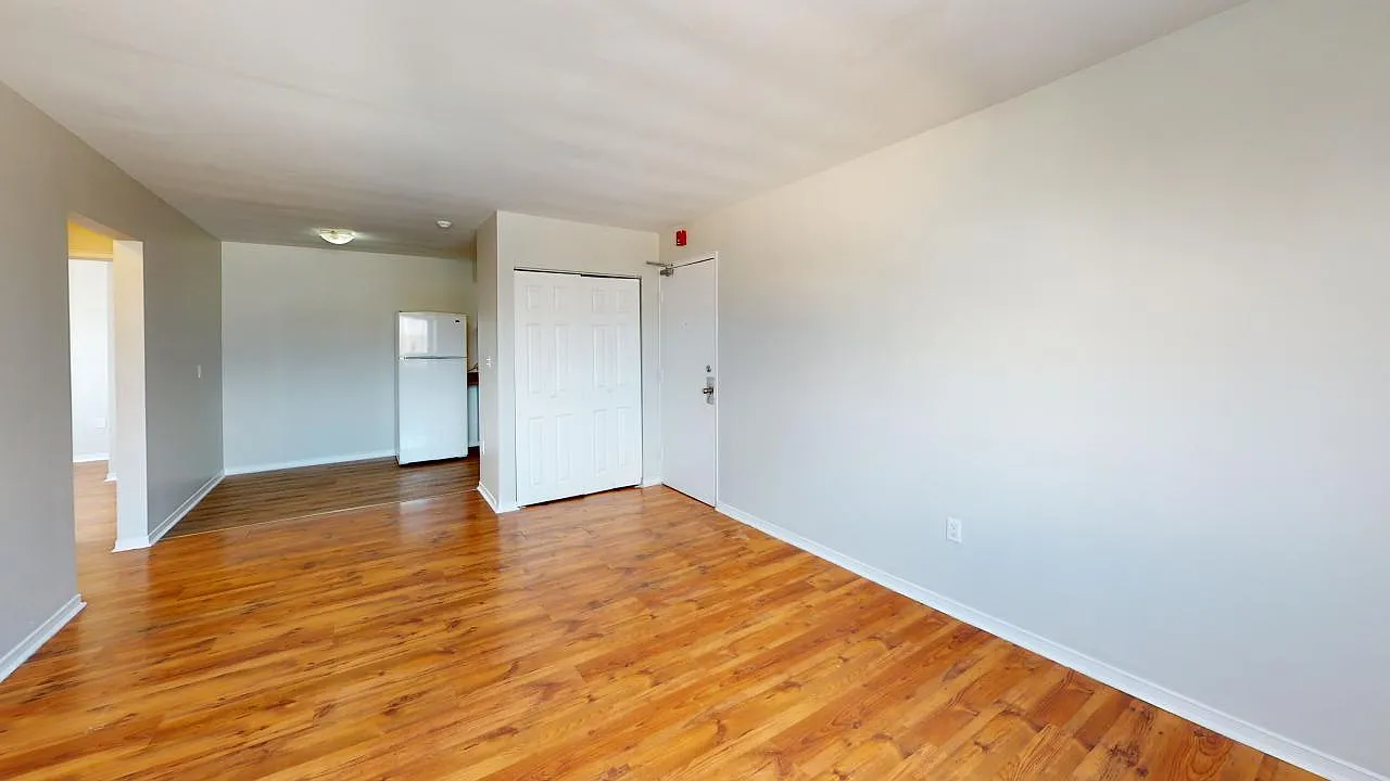 1 bed, $1,250 — Photo 2