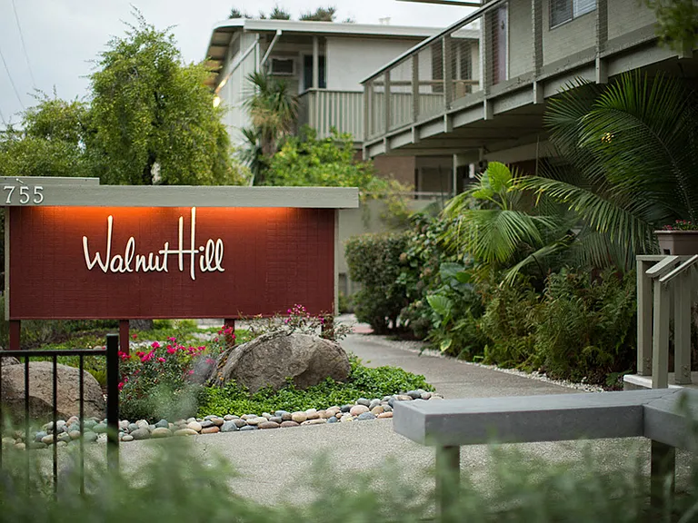 WALNUT HILL — Photo 18