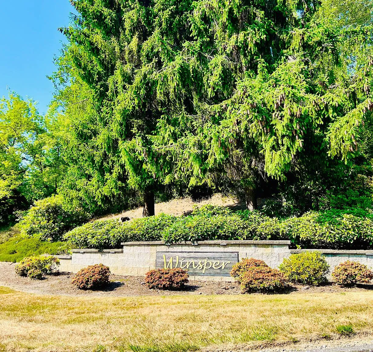 3 bed, 2.5 bath, 2300 sqft, $3,295 — Photo 4