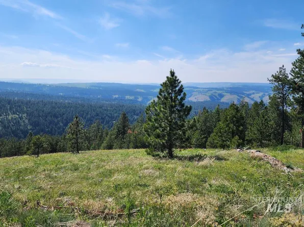 LOT 91 Pilgrim Ridge Rd, White Bird, ID 83554
