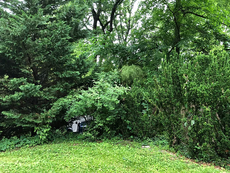 0 Macarthur Blvd — Photo 9