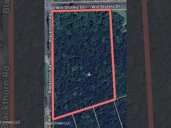 0 Will Stutely Dr, Brandon, MS 39042