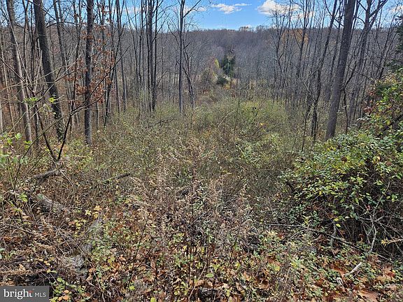2nd image of 0 Woodland Dr