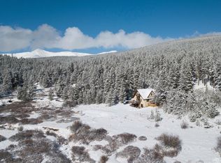 96 Meadows Dr, Leadville, CO 80461
