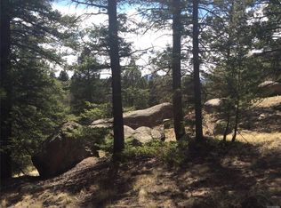 125 Sentinel Way, Florissant, CO 80816